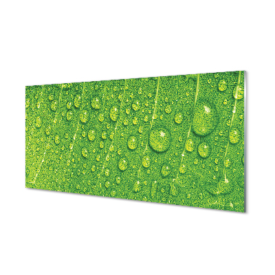 Quadro acrílico Gotas em uma macro de folha