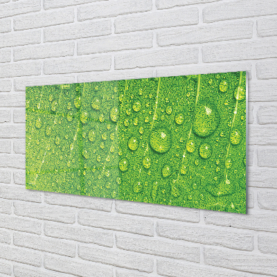 Quadro acrílico Gotas em uma macro de folha