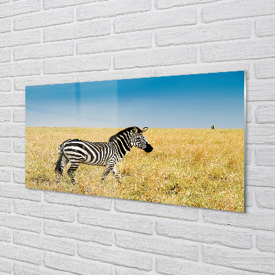 Quadro acrílico Campo de zebras