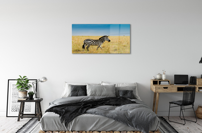Quadro acrílico Campo de zebras