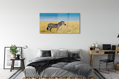 Quadro acrílico Campo de zebras