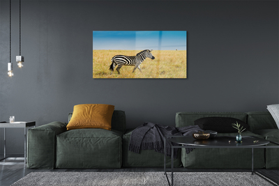 Quadro acrílico Campo de zebras