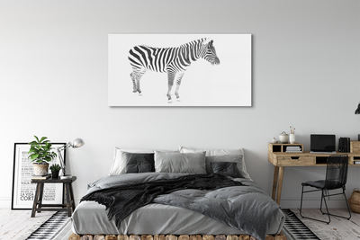 Pintura acrílica zebra pintada
