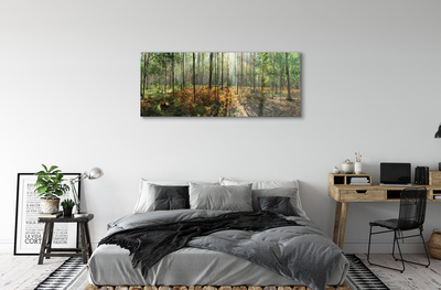 Quadro acrílico Floresta de bétulas