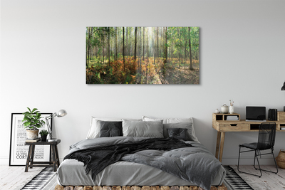 Quadro acrílico Floresta de bétulas