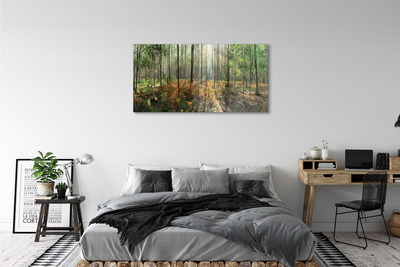 Quadro acrílico Floresta de bétulas