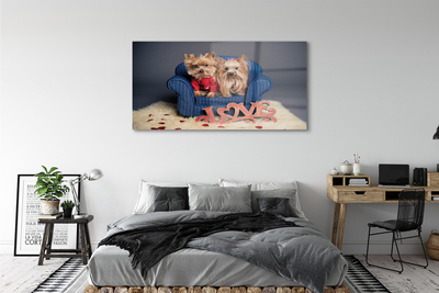 Quadro acrílico Yorkies
