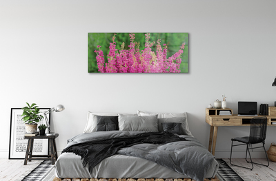 Pintura acrílica Flores de urze