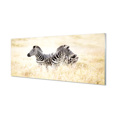 Quadro acrílico Campo de zebras