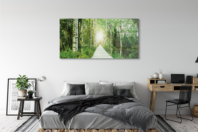 Quadro acrílico Bétulas da floresta da estrada