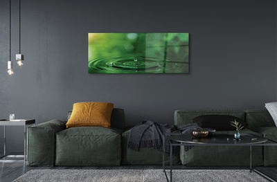 Quadro acrílico Macro gota d'água