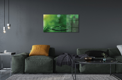 Quadro acrílico Macro gota d'água