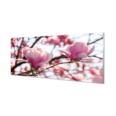 Pintura acrílica Árvores de magnólia