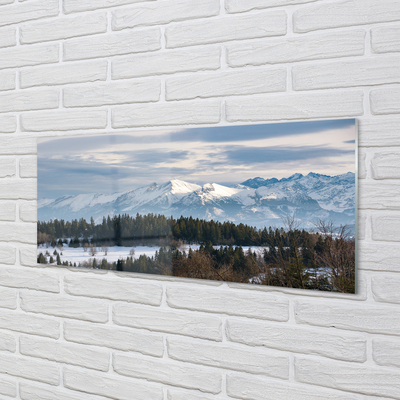 Quadro acrílico Montanhas neve de inverno