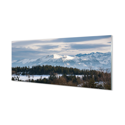 Quadro acrílico Montanhas neve de inverno