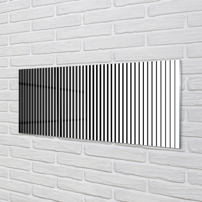 Quadro acrílico Transição de listras de zebra