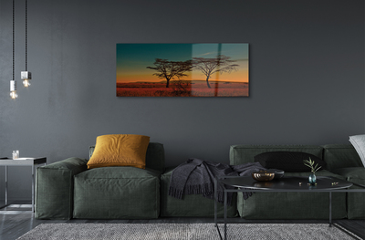 Quadro acrílico Céu de árvore