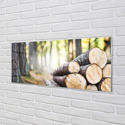 Quadro acrílico Madeira natureza floresta