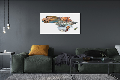 Pintura acrílica zebra girafa tigre