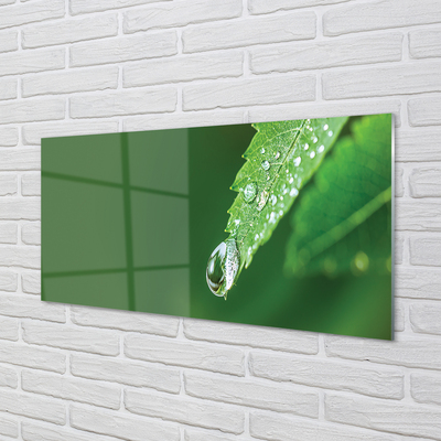 Quadro acrílico Gota de água em uma folha