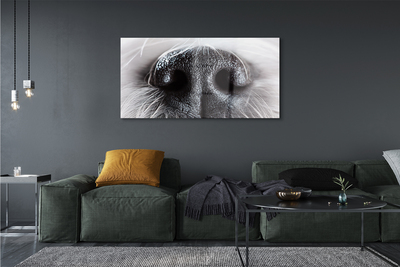 Quadro acrílico nariz de cachorro