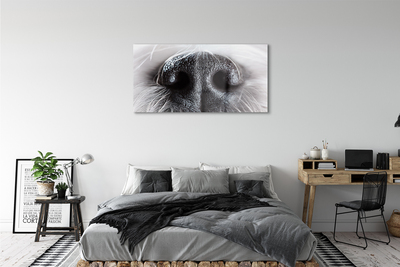 Quadro acrílico nariz de cachorro