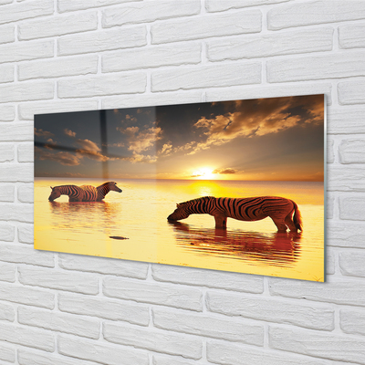 Quadro acrílico Zebras na água do pôr do sol