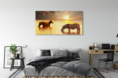Quadro acrílico Zebras na água do pôr do sol