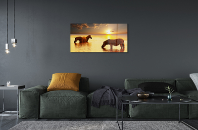 Quadro acrílico Zebras na água do pôr do sol