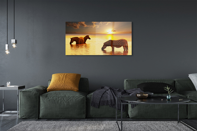 Quadro acrílico Zebras na água do pôr do sol