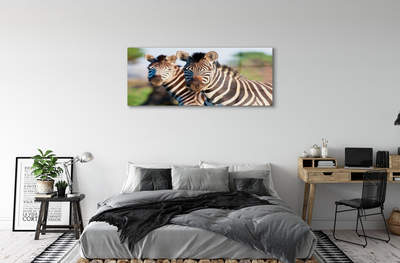 Pintura acrílica Zebras