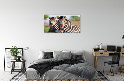 Pintura acrílica Zebras