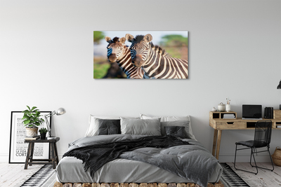 Pintura acrílica Zebras