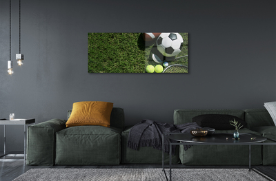 Quadro acrílico Bolas de remo de grama