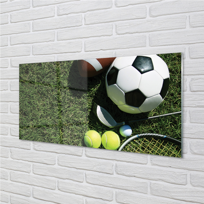 Quadro acrílico Bolas de remo de grama