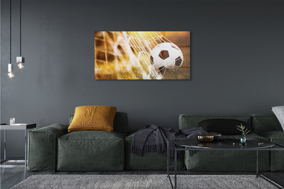 Quadro acrílico Bola amarela em fundo de grama