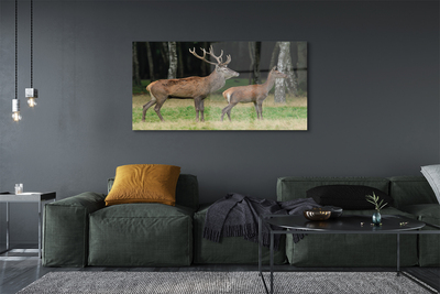 Quadro acrílico Floresta de veados