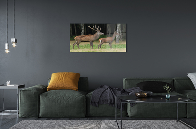 Quadro acrílico Floresta de veados