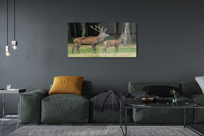 Quadro acrílico Floresta de veados