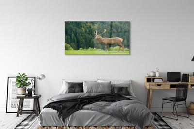 Pintura acrílica Veado no campo