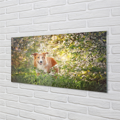 Quadro acrílico Flores da floresta para cães