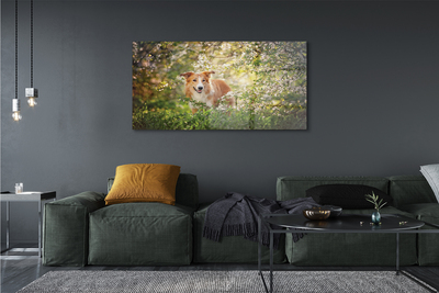 Quadro acrílico Flores da floresta para cães