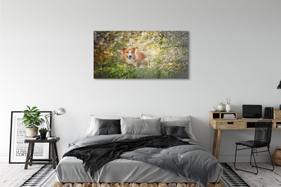 Quadro acrílico Flores da floresta para cães
