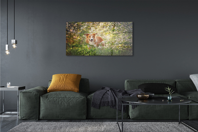 Quadro acrílico Flores da floresta para cães