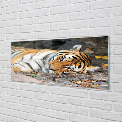 Quadro acrílico Tigre mentiroso