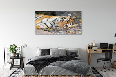 Quadro acrílico Tigre mentiroso