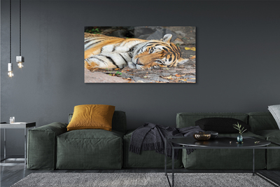 Quadro acrílico Tigre mentiroso