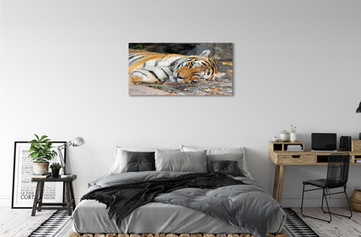 Quadro acrílico Tigre mentiroso