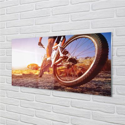 Quadro acrílico Estrada de mountain bike oeste