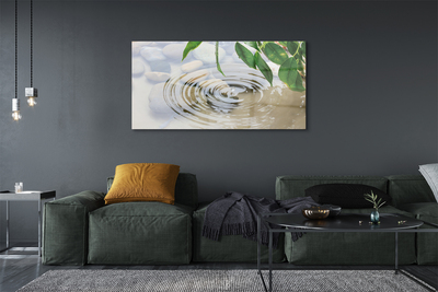 Pintura acrílica Respingo de gota d'água